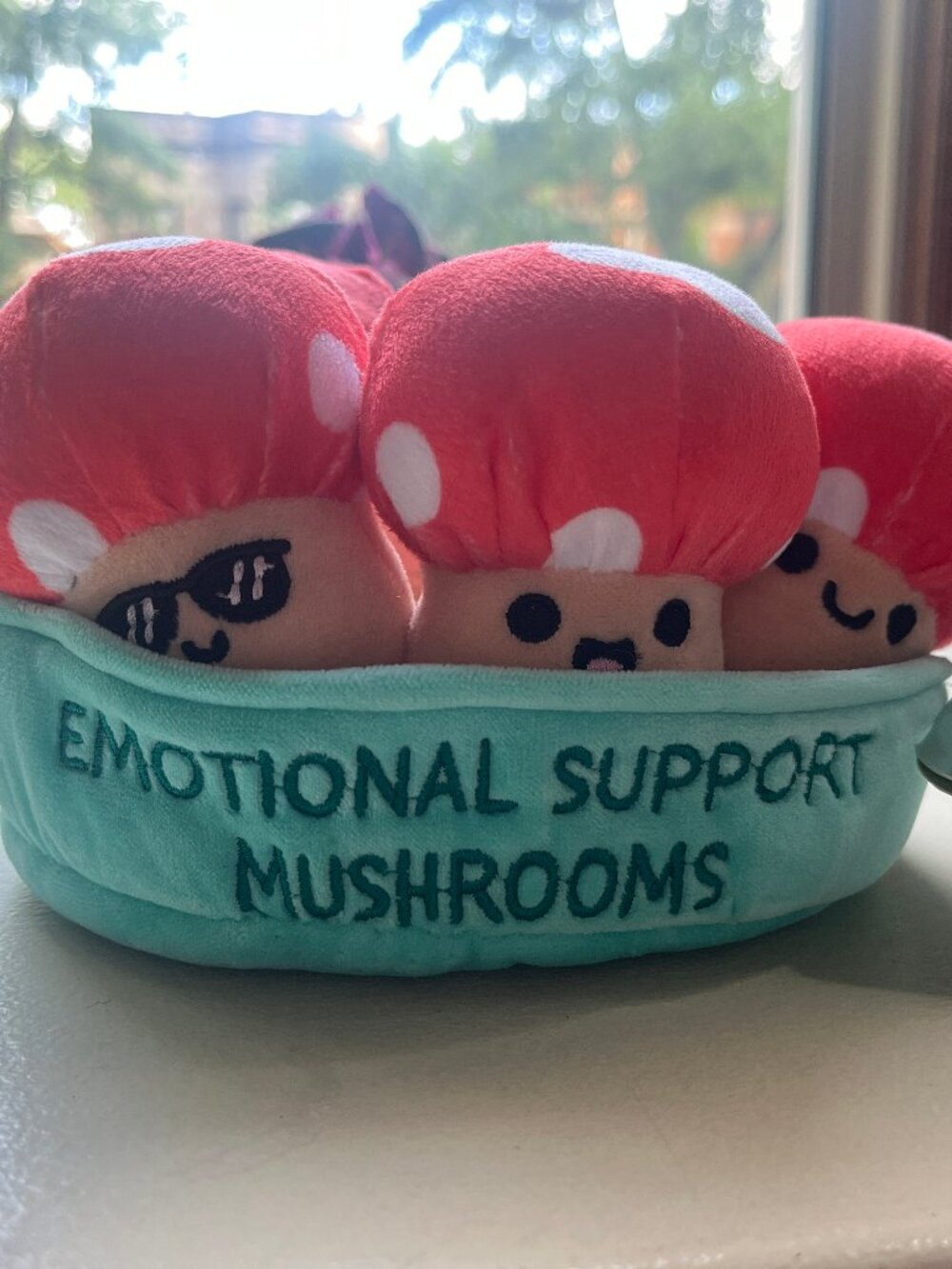 Emotional Support Plush Mushrooms